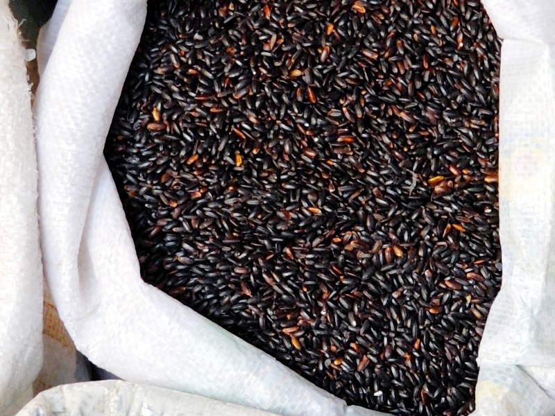Innovazione nel Settore Cerealicolo: Le Strategie Vincenti di Pineta Srl