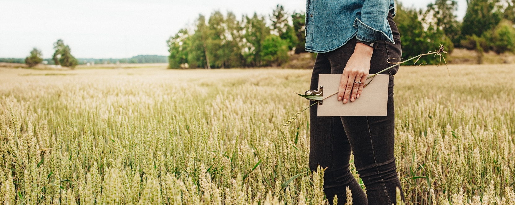 Network di Contoterzisti: Supporto indispensabile per le aziende agricole
