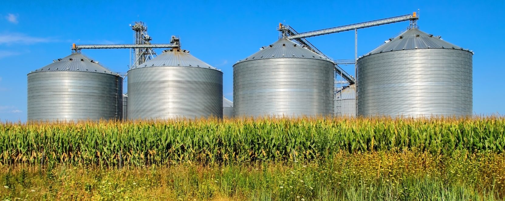 Pineta srl Fertilizzanti: Nutrimento Essenziale per le Tue Piante